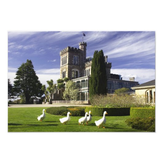 Burg Larnach, Halbinsel Otago, Dunedin, Fotodruck (Vorne)