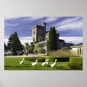 Burg Larnach, Halbinsel Otago, Dunedin, Poster