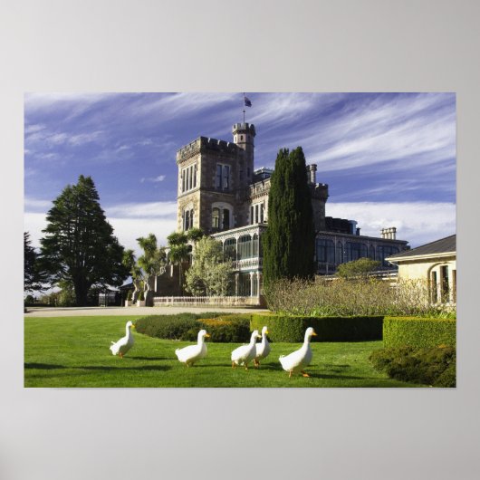 Burg Larnach, Halbinsel Otago, Dunedin, Poster (Vorne)
