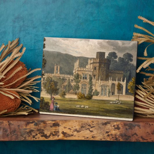 Burg Luscombe, Devon (Farbe litho) Fotoplatte (Seite)