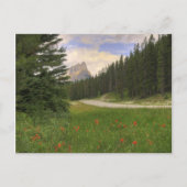 Burg Postkarte (Vorderseite)