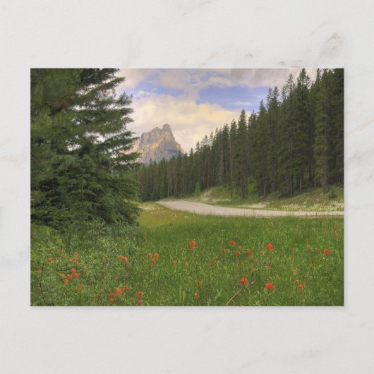 Burg Postkarte (Vorderseite)