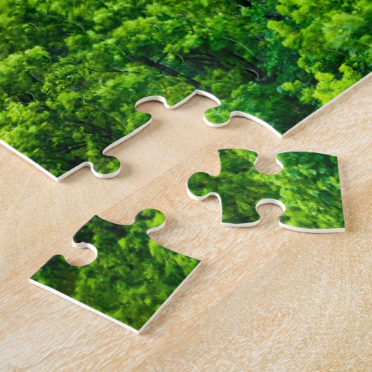 Burg Puzzle Bran (Seite)