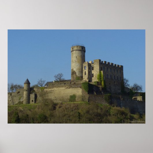 Burg Pyrmont Poster (Vorne)