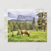 Burgen von Bellinzona Postkarte (Vorne/Hinten)