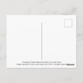 Burgen von Chepstow Postkarte (Rückseite)