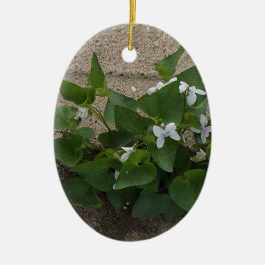 Bürgersteig-Blume Keramik Ornament (Vorne)