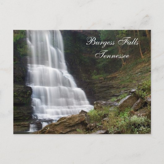 Burgess Falls TN Postcard Postkarte (Vorderseite)