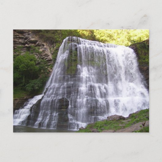Burgess Falls, TN Postkarte (Vorderseite)