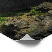 Burgmöwe Poster (Ecke)