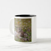 Burgschale Zweifarbige Tasse (Vorderseite Links)