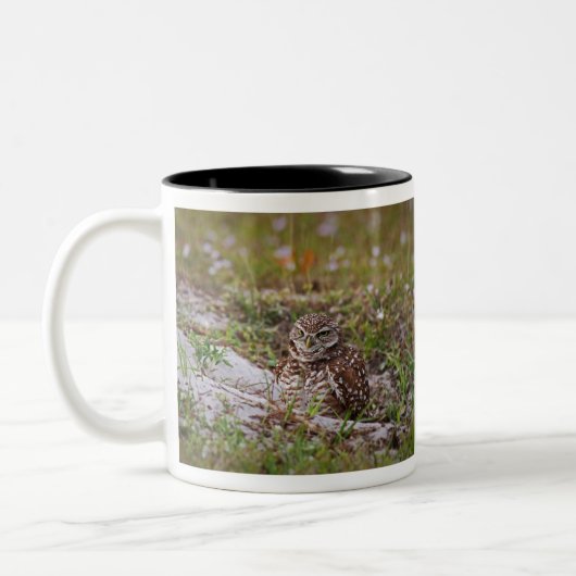 Burgschale Zweifarbige Tasse (Links)