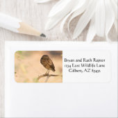 Burgschüssel bei Sonnenaufgang (Insitu)