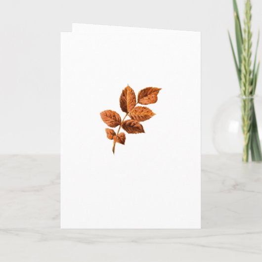 Burgund Blumenwein-Degustation Programm (Rückseite)