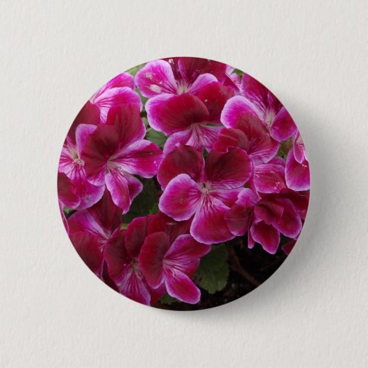 Burgund Geranium Button (Vorderseite)