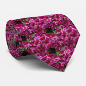 Burgund Geranium Krawatte (Gerollt)