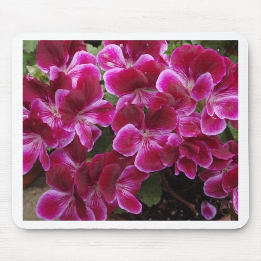 Burgund Geranium Mousepad (Vorne)