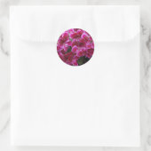 Burgund Geranium Runder Aufkleber (Tasche)