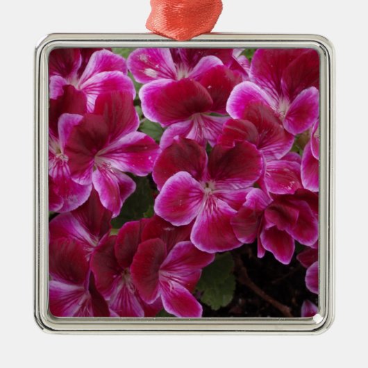 Burgund Geranium Silbernes Ornament (Vorne)