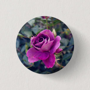 Burgund Iceberg Rose #2 Button