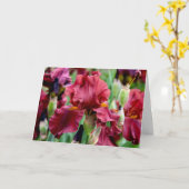 Burgund Iris Blume Grußkarte (Leere Innenseite) Karte (Gelbe Blume)