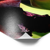 Burgund/Rot Iris Foto Art Foto (Ecke)