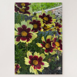 Burgund und Gelbe Coreopsis, San Mateo Puzzle