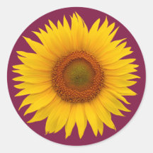 Burgunder Gelbblütenblütenblume Umschlag Aufkleber
