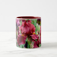 Burgunder-Iris-Blumen-Tasse