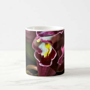 BURGUNDER-ORCHIDEE MIT EINEM SCHWARZEN HINTERGRUND KAFFEETASSE