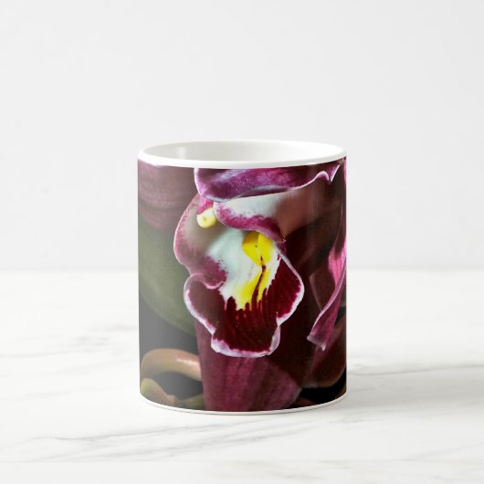 BURGUNDER-ORCHIDEE MIT EINEM SCHWARZEN HINTERGRUND KAFFEETASSE (Mittel)