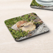 Burgunder Schnecke in den französischen Alpen Untersetzer (Linke Seite)