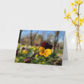 Burgundgelbe Panik Karte (Gelbe Blume)