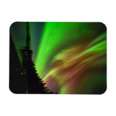 Burgundy Aurora Magnet (Horizontal)