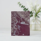Burgundy Bubble Abstract Postkarte (Stehend Vorderseite)