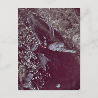 Burgundy Bubble Abstract Postkarte