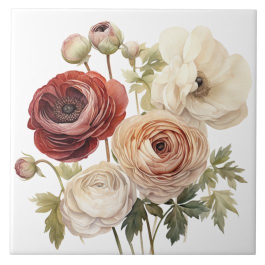 Burgundy Cream Ranunculus Blume Fliese (Vorderseite)