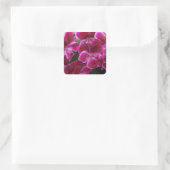 Burgundy Geranium Quadratischer Aufkleber (Tasche)