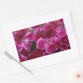 Burgundy Geranium Rechteckiger Aufkleber (Umschlag)