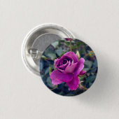 Burgundy Iceberg Rose #2 Button (Vorne & Hinten)
