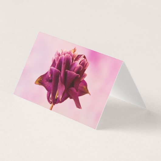 Burgundy Pink Columbine Card (Vorderseite)