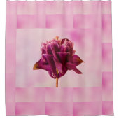 Burgundy Pink Columbine Duschvorhang (Vorderseite)