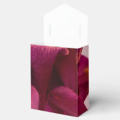Burgundy Pink Columbine Geschenkschachtel (Geöffnet)