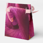 Burgundy Pink Columbine Geschenkschachtel (Rückseite)