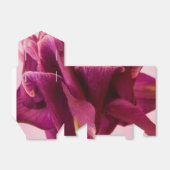 Burgundy Pink Columbine Geschenkschachtel (Ungefaltet)