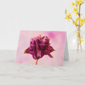 Burgundy Pink Columbine Karte (Gelbe Blume)