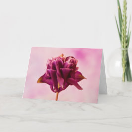 Burgundy Pink Columbine Karte
