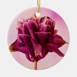 Burgundy Pink Columbine Keramik Ornament