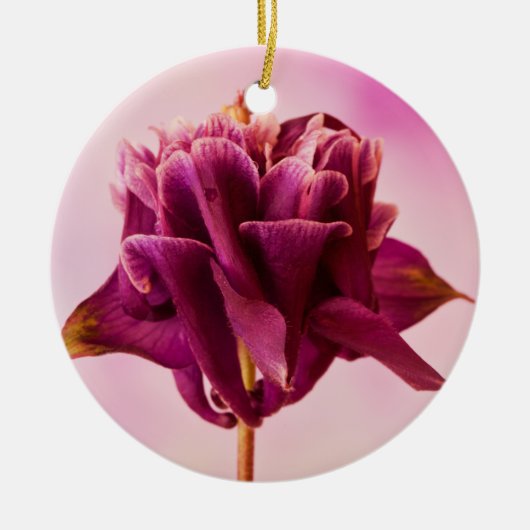 Burgundy Pink Columbine Keramik Ornament (Vorne)