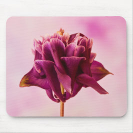 Burgundy Pink Columbine Mousepad